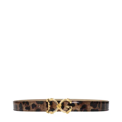 Dolce & Gabbana Belts Multicolor
