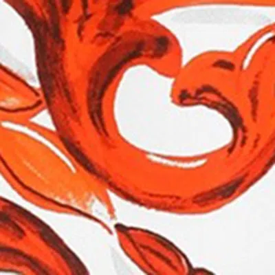 Dolce & Gabbana Shorts In Cotone Arancione Con Stampa Grafica Dolce E Gabbana In Orange