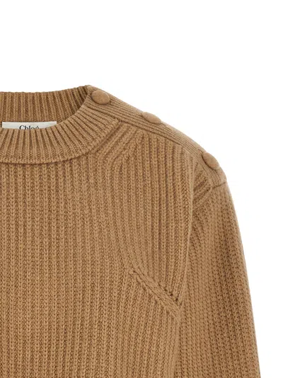 Chloé Pullover Corto Con Collo A Lupetto In Maglia Di Lana E Cashmere Con Pizzo In Brown