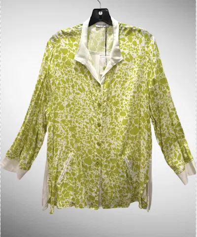 Lemon Grass Flip Collar Button Down Blouse In Multi