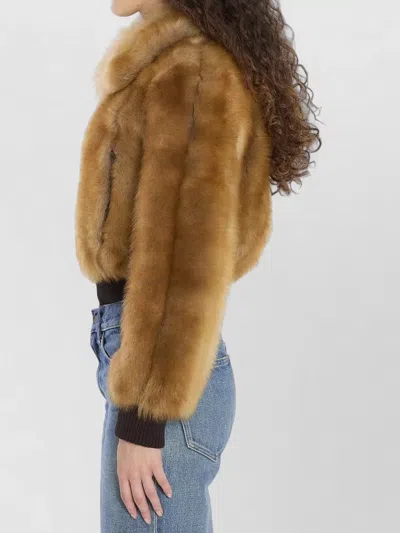 Saint Laurent Shearling Bomber Jacket Cropped Fur Texture In Brown