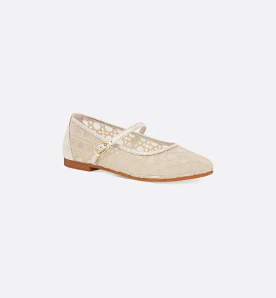 Dior Round-toe Ballet Flats In Multi
