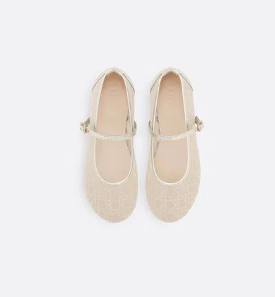 Dior Round-toe Ballet Flats In Multi