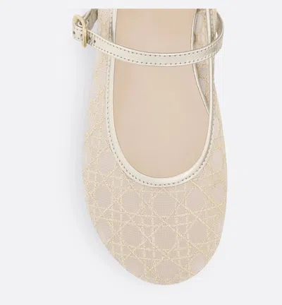 Dior Round-toe Ballet Flats In Multi
