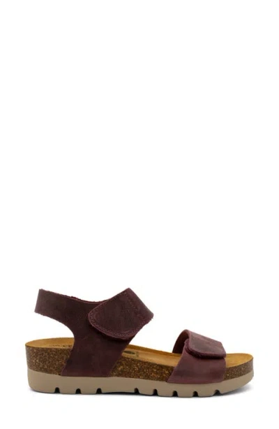 Plakton Compi Sandal In Apure Burdeos