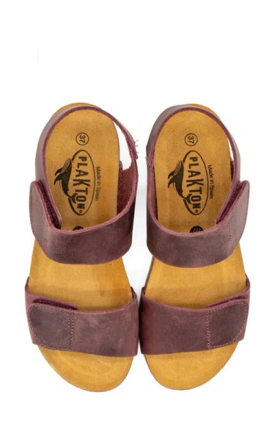 Plakton Compi Sandal In Apure Burdeos