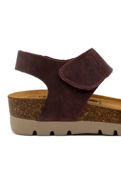 Plakton Compi Sandal In Apure Burdeos