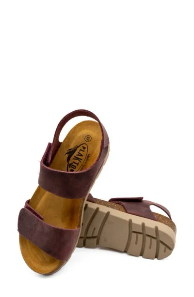Plakton Compi Sandal In Apure Burdeos
