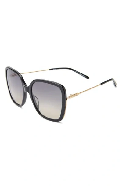 Chloé Chloe Womens Black Ch0173s Square-frame Acetate Sunglasses In Black Gold Grey