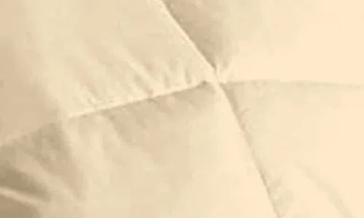 Luxury Home Solid White Microfiber Comforter In Brown