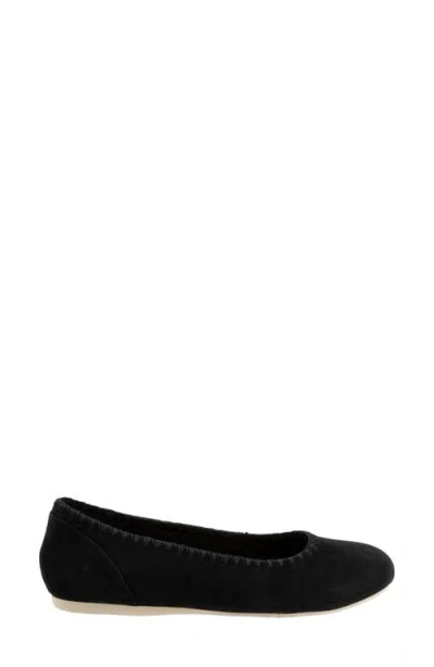 Softwalk Sonoma Flat In Black