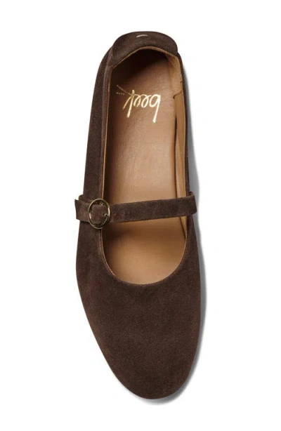 Beek Snipe Mary Jane Flat In Multi