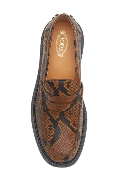 Tod's Python Embossed Penny Loafer In Multi