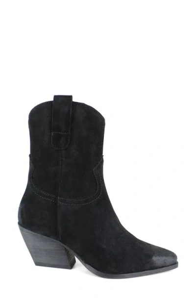Zigi Western Boot In Black