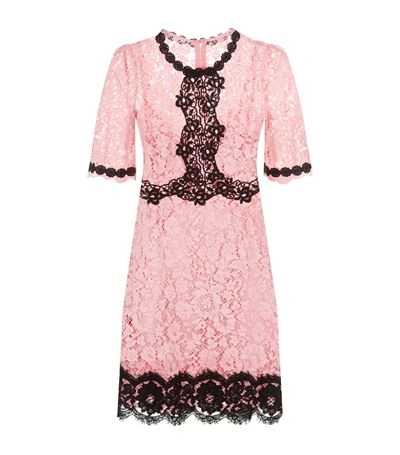 Shop Dolce & Gabbana Embroidered Lace Shift Dress