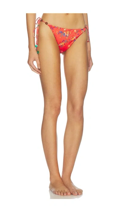 Siedres Vicky Bikini Bottom In Multi