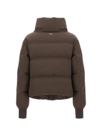 Herno Stand-collar Down Jacket In Brown