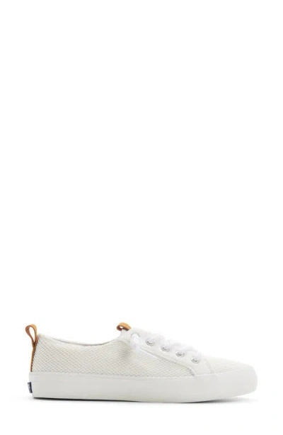 Sperry Knit Sneaker In White
