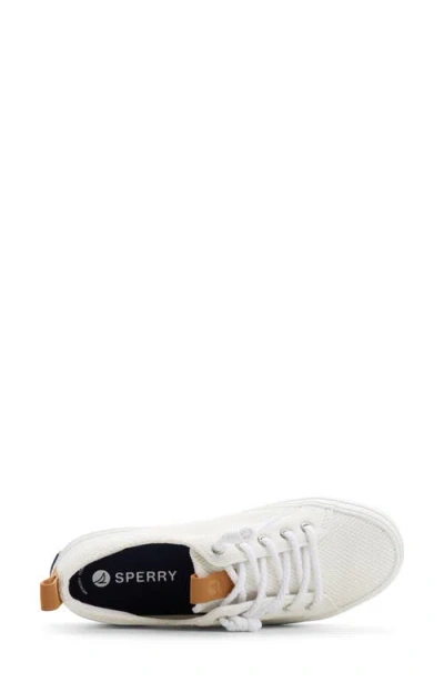 Sperry Knit Sneaker In White