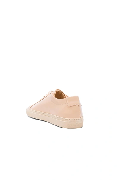 Shop Common Projects Original Achilles Low In Natural