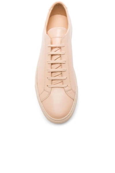 Shop Common Projects Original Achilles Low In Natural