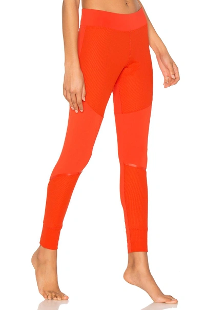 Shop Adidas By Stella Mccartney Training Tight In Orange