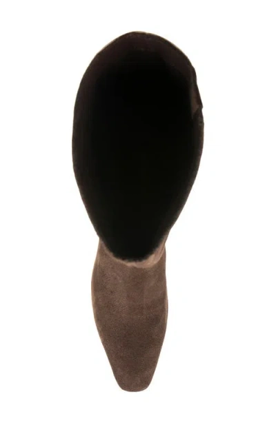 Splendid Jack Knee High Boot In Brown