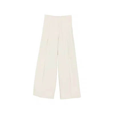 Dries Van Noten Pinstripe Pleated Trousers In Neutrals