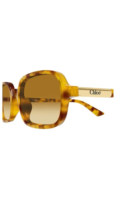 Chloé Rectangular Sunglasses In Brown