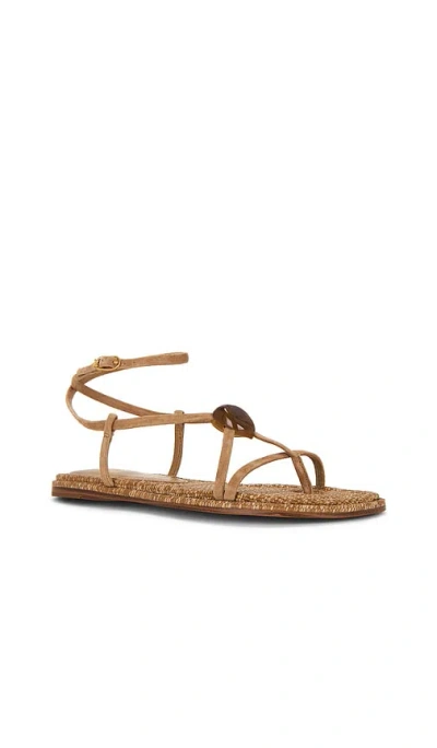 Sam Edelman Rillie サンダル In Tan