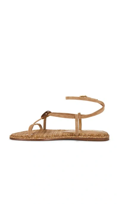 Sam Edelman Rillie サンダル In Tan