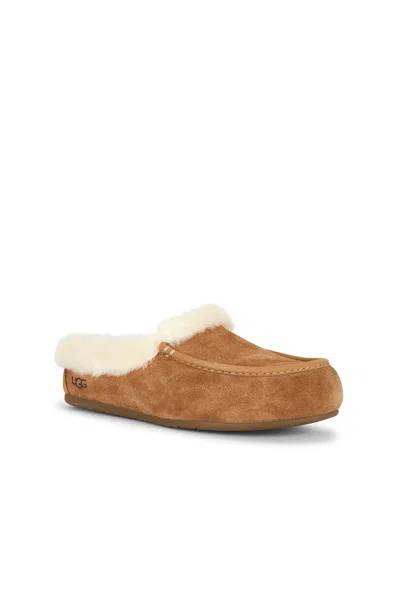 Ugg Ansley Mule Slippers Chestnut In Brown