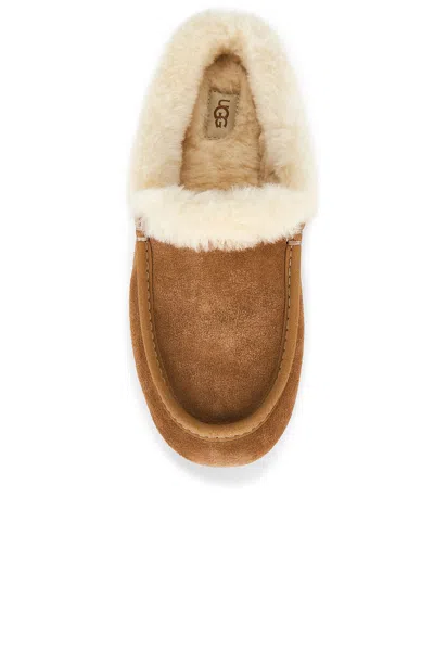 Ugg Ansley Mule Slippers Chestnut In Brown