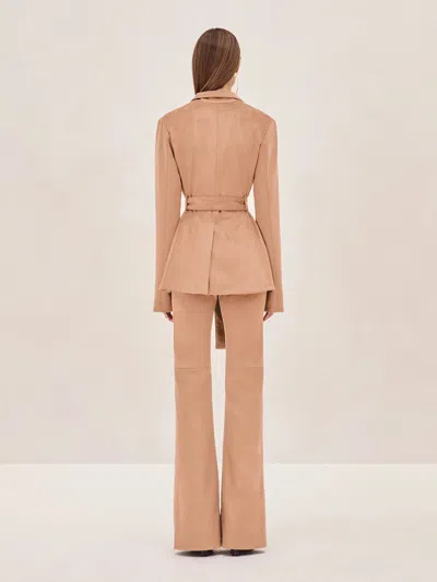 Alexis Lazlo Top In Multi