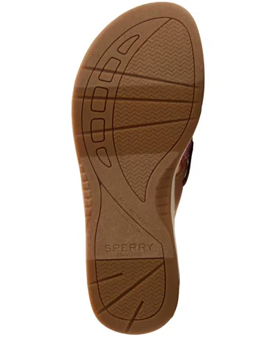 Sperry Parrotfish Sandal In Brown