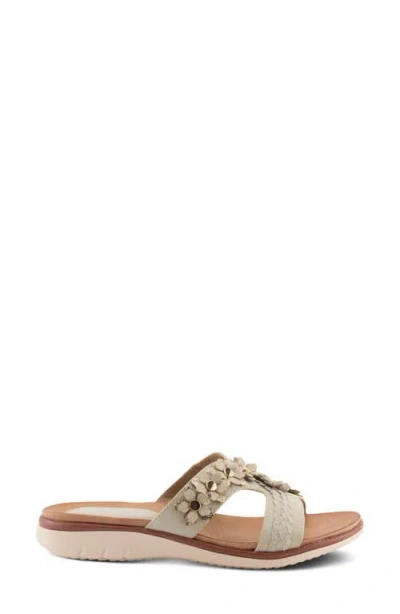 Patrizia By Spring Step Lisetta Slide Sandal In Bone Multi