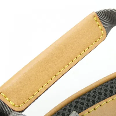 Pre-owned Louis Vuitton Gris Canvas Backpack ()