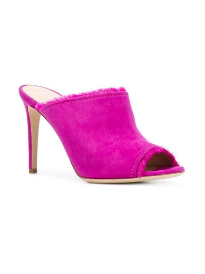 Shop Giuseppe Zanotti Mule Sandals In Pink