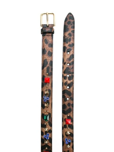 Shop Dolce & Gabbana Embellished Leopard Print Belt In Brown