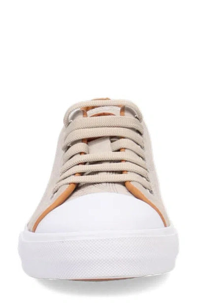 Dingo Campus Sneaker In Beige White