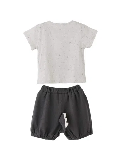 Banblu Dino Dot Set In Gray