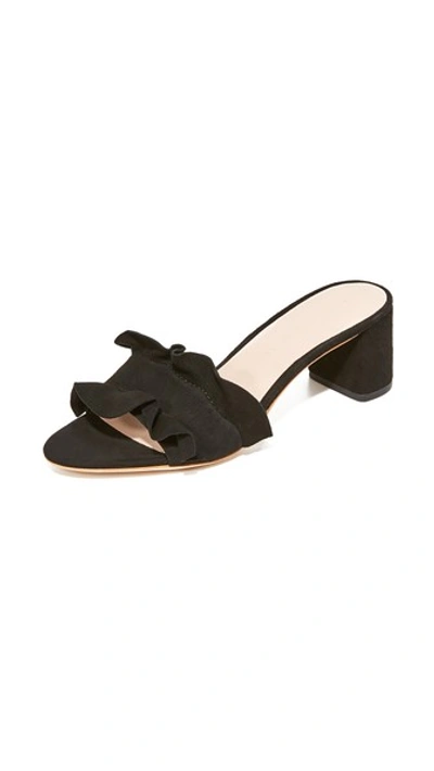 Shop Loeffler Randall Vera City Slides In Black