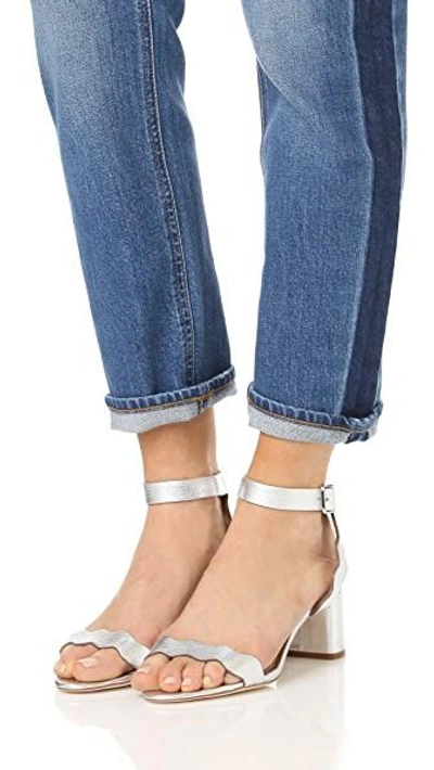 Shop Loeffler Randall Emi City Sandals In Silver