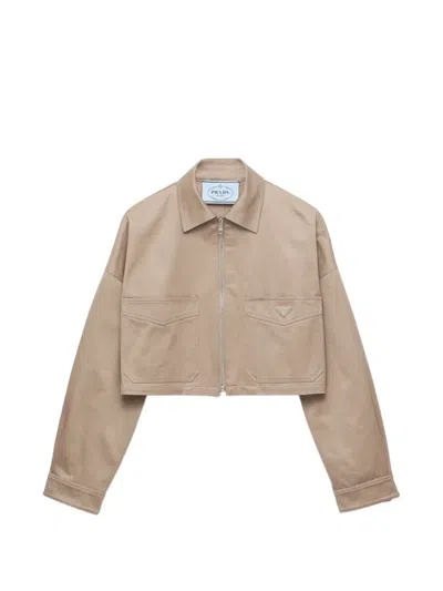 Prada Chino Blouson Jacket In Brown