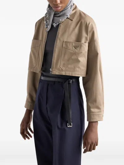 Prada Chino Blouson Jacket In Brown