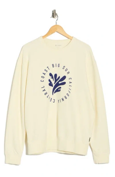 Ag Arc Sweatshirt In Neutral