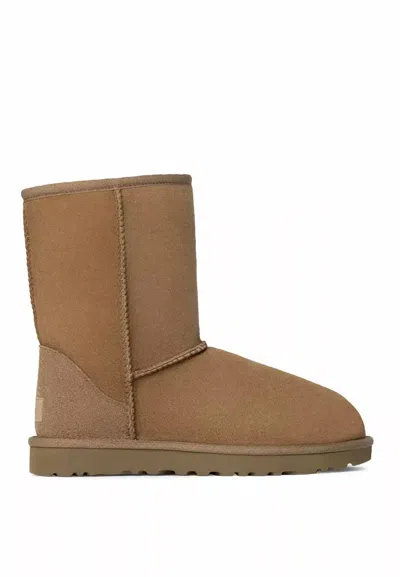Ugg Logo Boots In Brown