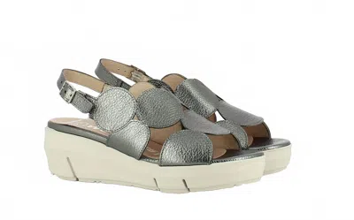 Wonders Platform Sandal In Multi
