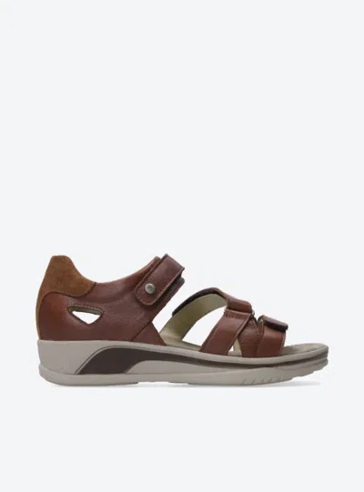 Wolky Desh Sandal In Brown