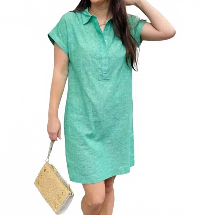 Pure Amici Pullover Mini Dress In Leaf In Green